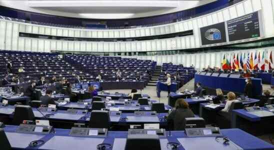 A Bulgarian MEP gives a Nazi salute in the hemicycle