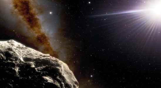 A second Trojan asteroid from Earth has been discovered