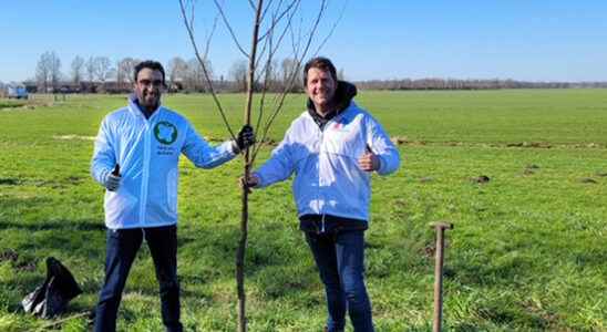 Amersfoort parties are already planting trees on fallow nature reserve