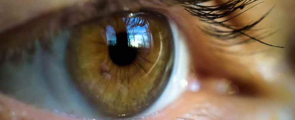 An eye scan can predict your risk of heart attack