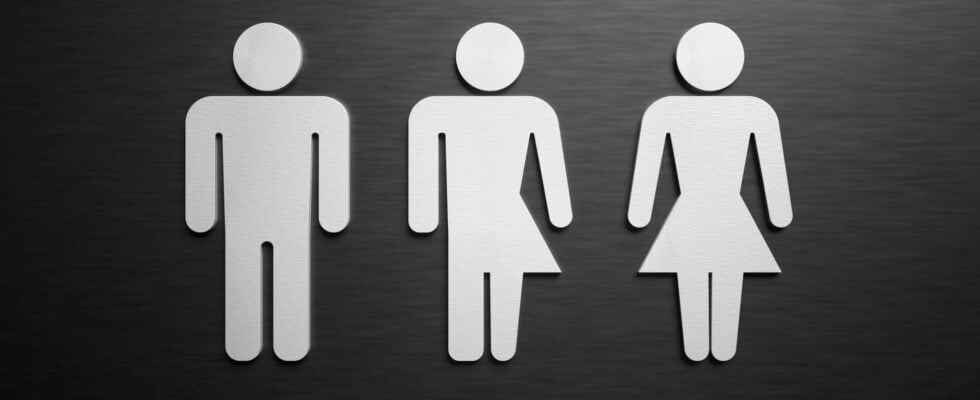 Between biology and legislation how is gender neutral or intersex