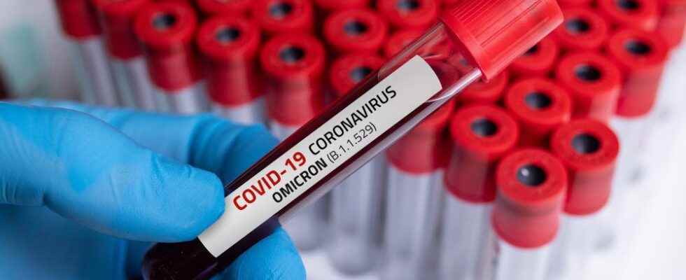 COVID 19 Huron Perths pandemic death toll climbs to 90