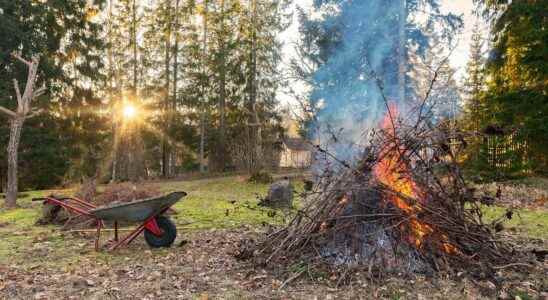 Can you burn green waste in your garden