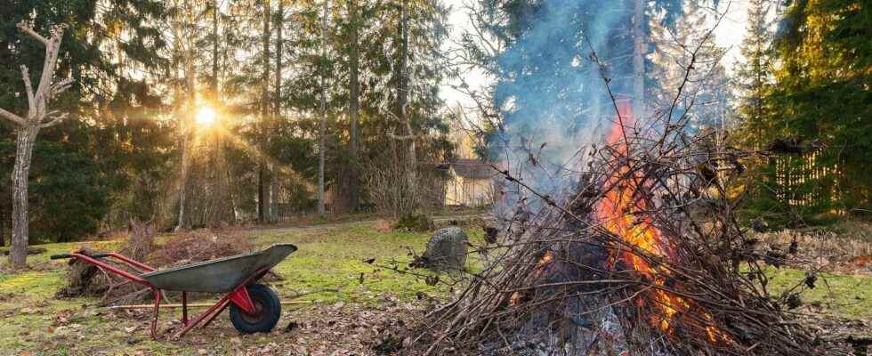 Can you burn green waste in your garden