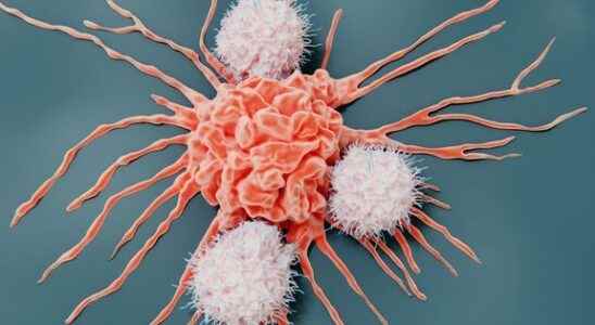 Cancer the path of T lymphocytes to destroy tumors now