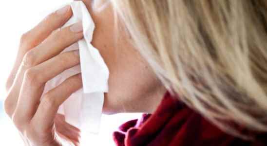 Chance of hay fever increases due to lack of cold