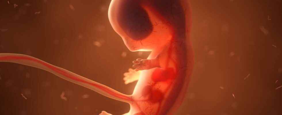 China develops autonomous human artificial wombs monitored by AI