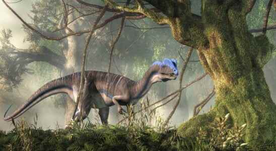 Dilophosaurus what is it
