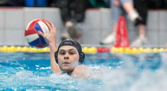 Dutch water polo players also win European Championship qualifying final