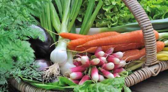 Early vegetables when should they be sown