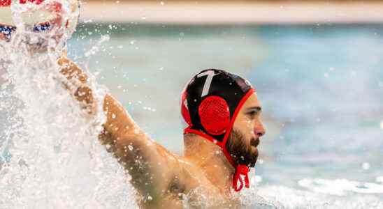 Eredivisie water polo battered UZSC loses topper ZPC Amersfoort beats