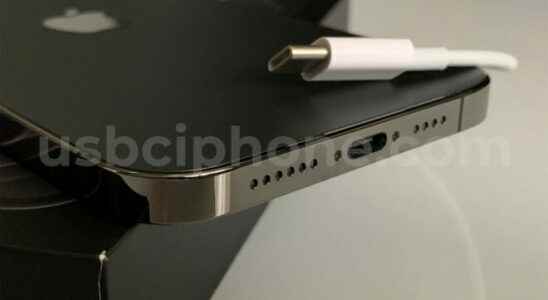 First iPhone 12 Pro Max with USB C port goes on