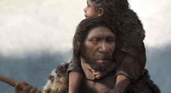 Homo sapiens and Neanderthals crossed paths earlier than we thought