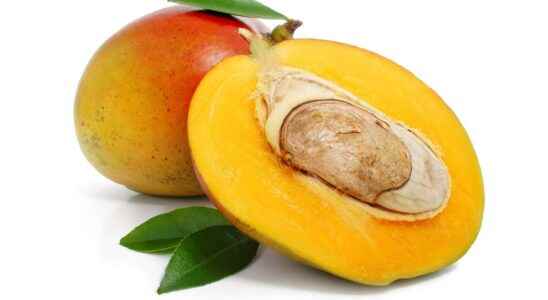 How to get a mango tree from the almond