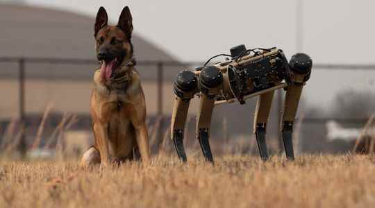 In the United States robot dogs to track migrants