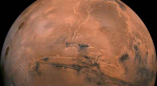 Is the Martian crust different from the Earths crust