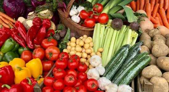 It is wrong to consume only vegetables for heart health