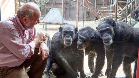 Kill chimpanzees inspiration for book with the real story about