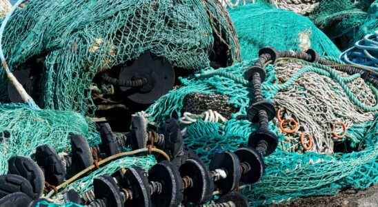 Lanterns on fishing nets to protect species