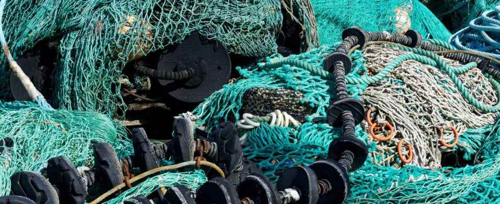 Lanterns on fishing nets to protect species