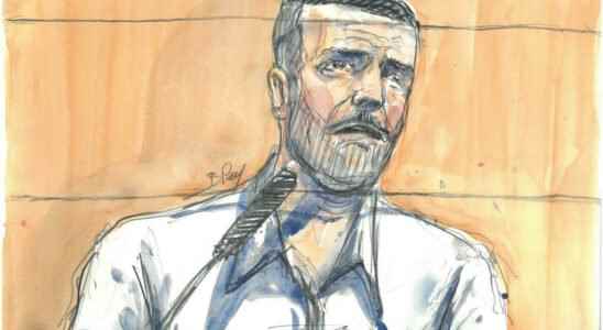 Lelandais sentenced to life imprisonment for the murder of Maelys