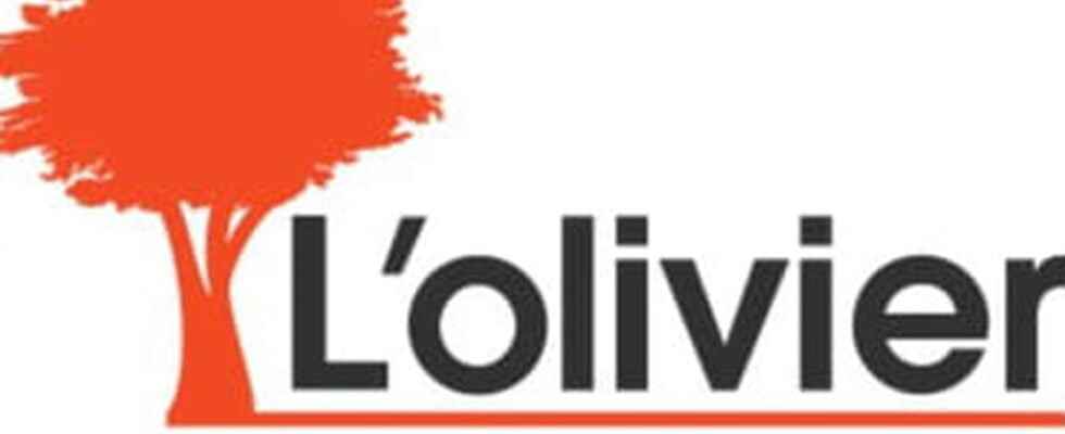 Lolivier Assurance the new generation of insurance