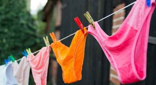 Menstrual cups washable panties… Are the new sanitary protections risk free