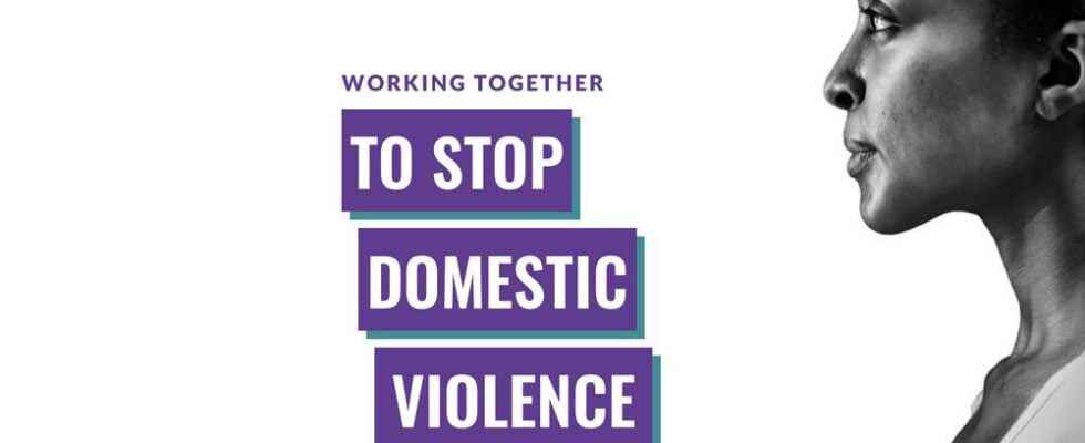 New DART website shines a light on domestic violence