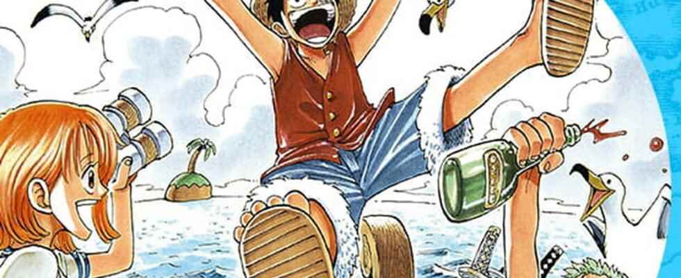 One Piece volume 100 collector at the best resale price