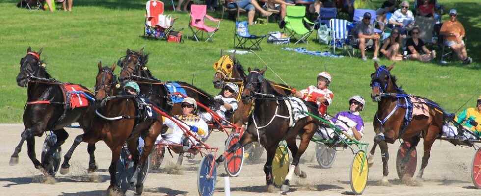 Ontario training workers for jobs in harness horse racing