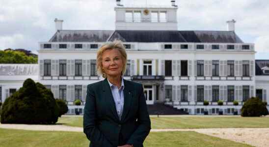 Opponents of building plans Soestdijk Palace go to Council of