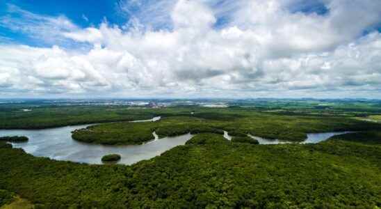 Scientists have discovered that the huge Amazon basin is sensitive