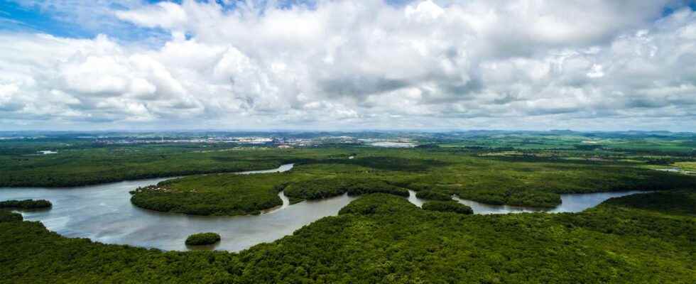 Scientists have discovered that the huge Amazon basin is sensitive