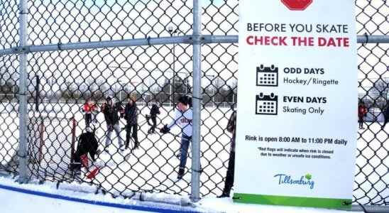 Security guards cameras should detect vandalism at outdoor rink