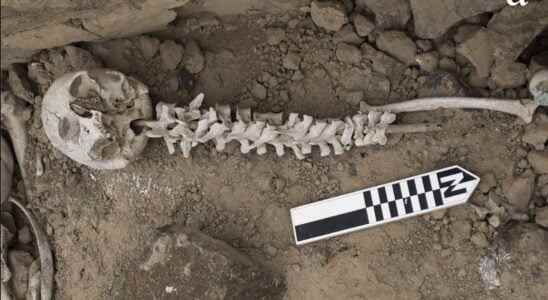 Skewers ​​of human vertebrae 600 years ago
