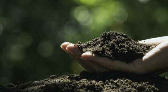 Soil quality in the Mediterranean region reaches critical point