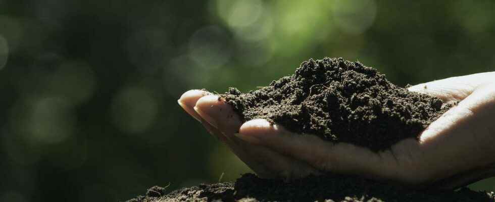 Soil quality in the Mediterranean region reaches critical point