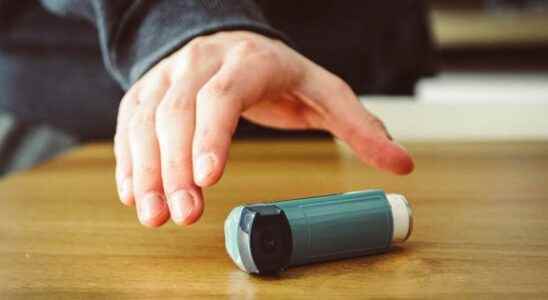 Study on the main asthma allergens what to think about