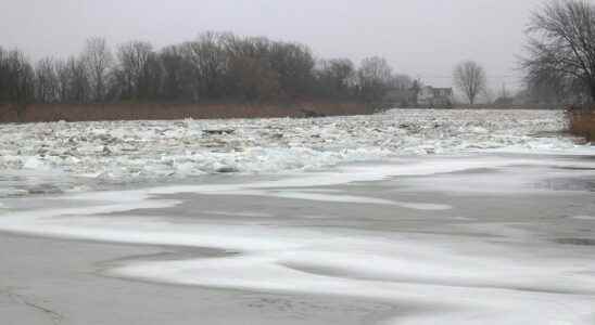 Thames River ice breaking up jamming in some locations