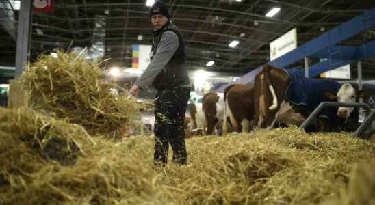 The 2022 Agricultural Show opens in Paris after two years