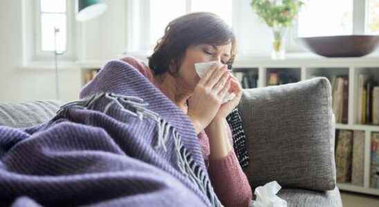 The flu epidemic continues to progress in the south east of