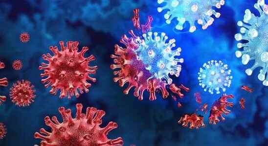 The frightening symptom of the Lassa virus that emerged years