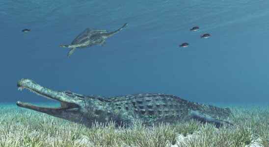 The surprising last meal of a giant Cretaceous crocodile