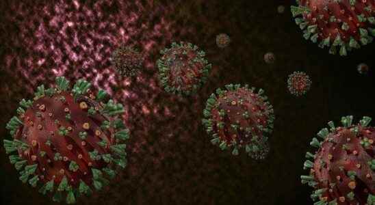 The symptoms of the new variant BA2 in the coronavirus