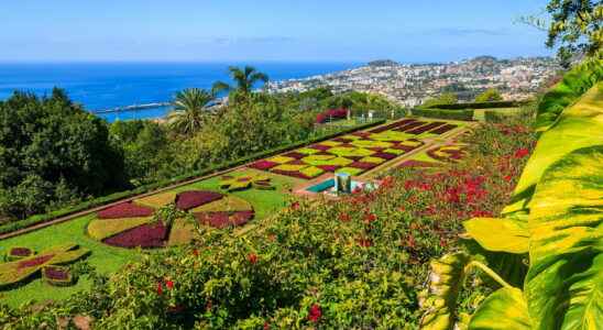 Trip to Portugal Madeira relaxes its entry conditions info