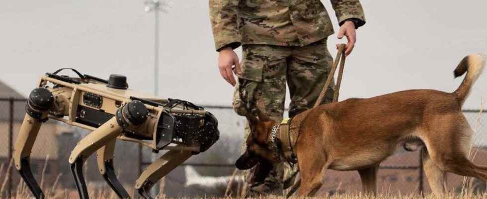 United States robot dogs deployed on the border with Mexico