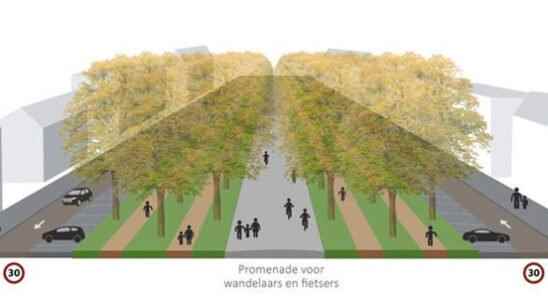 Utrecht Maliebaan becomes a promenade council decides against preference residents