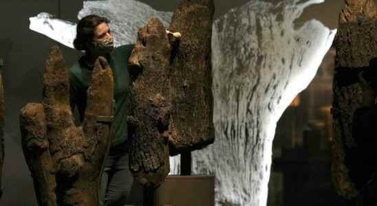 the British Museum celebrates Stonehenge with an exhibition