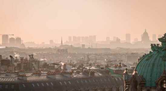 Air pollution impacts the brain and cognitive performance