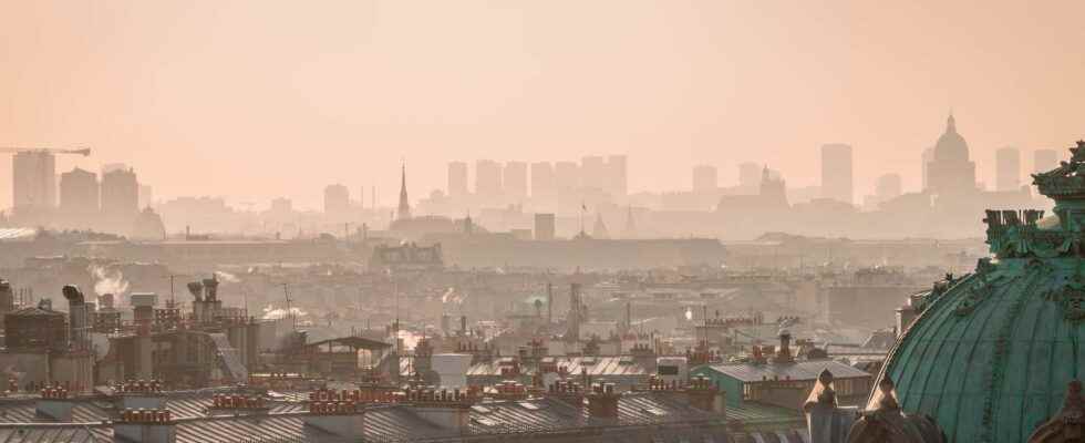 Air pollution impacts the brain and cognitive performance